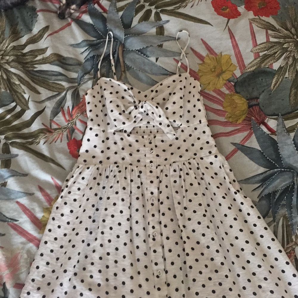 White with black polka dots fit and flare dress